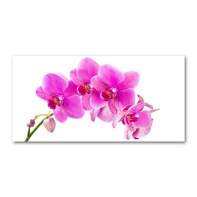 Schilderij glas Roze orchidee