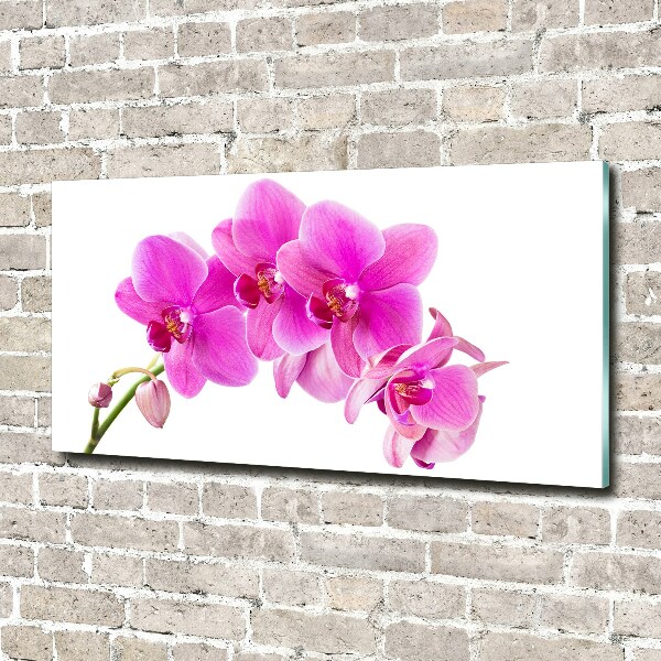Schilderij glas Roze orchidee