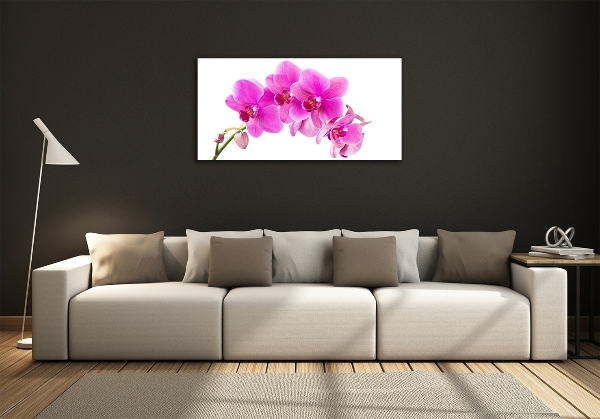 Schilderij glas Roze orchidee