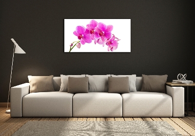 Schilderij glas Roze orchidee