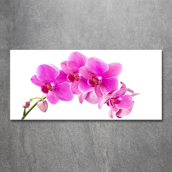 Schilderij glas Roze orchidee