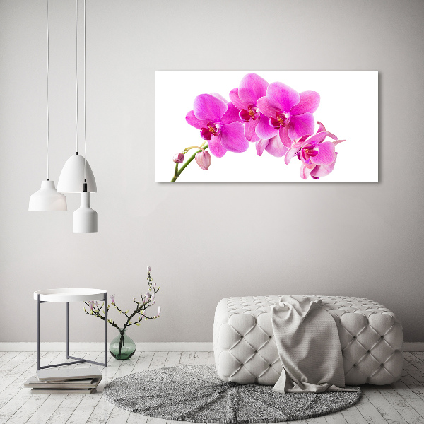 Schilderij glas Roze orchidee
