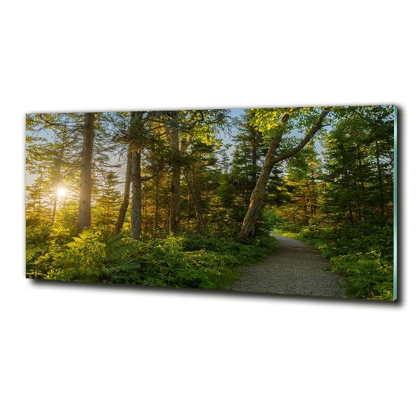 Glazen schilderij Woud