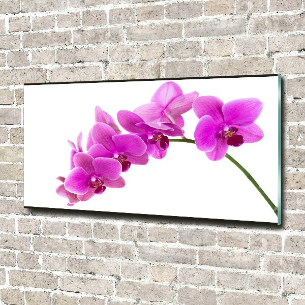 Foto schilderij op glas Roze orchidee