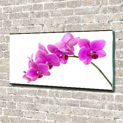 Foto schilderij op glas Roze orchidee