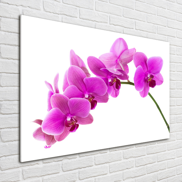 Foto schilderij op glas Roze orchidee