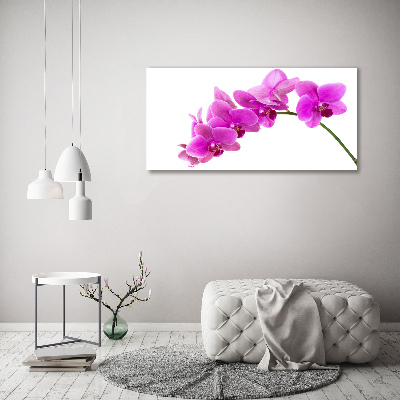 Foto schilderij op glas Roze orchidee