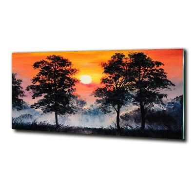 Schilderij op glas Zonsondergangbos