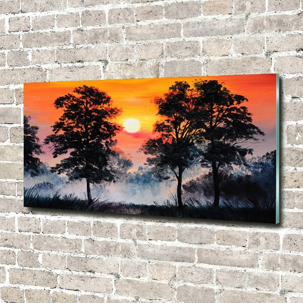 Schilderij op glas Zonsondergangbos
