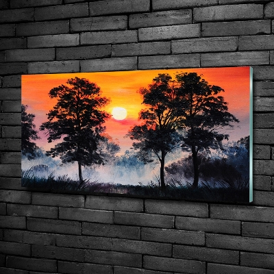 Schilderij op glas Zonsondergangbos