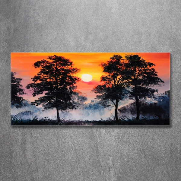 Schilderij op glas Zonsondergangbos