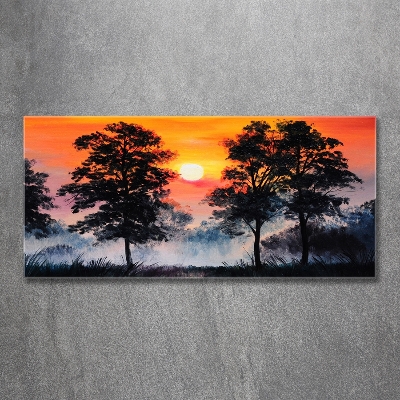 Schilderij op glas Zonsondergangbos
