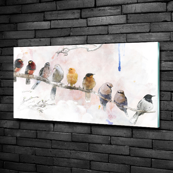 Foto schilderij op glas Vogels op een tak
