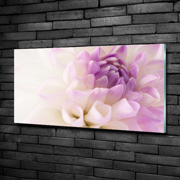 Schilderij glas Witte dahlia