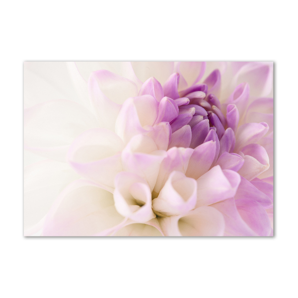 Schilderij glas Witte dahlia