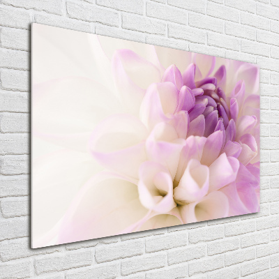 Schilderij glas Witte dahlia