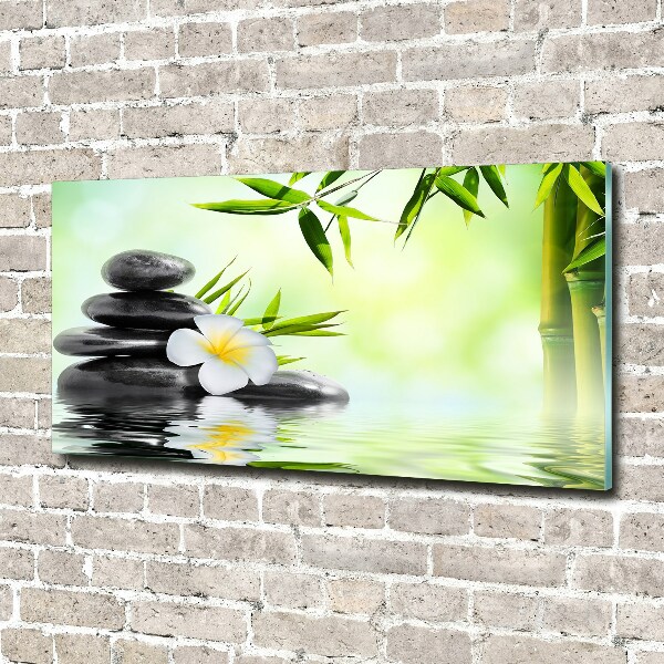 Schilderij op glas Plumeria en bamboe