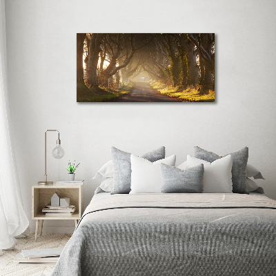 Foto schilderij op glas Mist in het bos