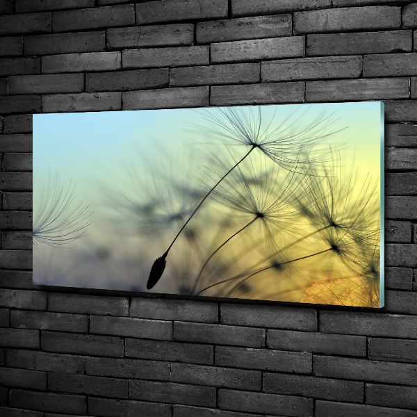 Schilderij glas Paardenbloemzaden