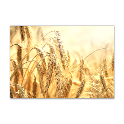 Glazen schilderij Graan
