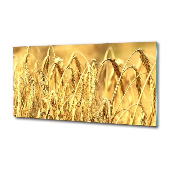 Foto schilderij op glas Graan