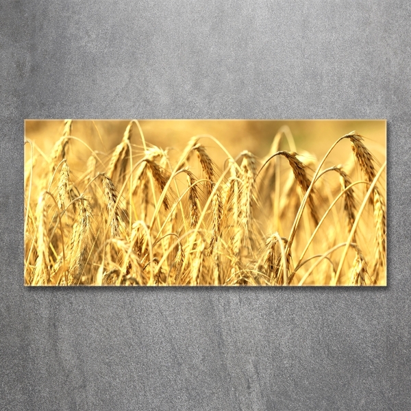Foto schilderij op glas Graan