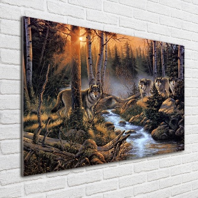 Schilderij op glas Een roedel wolven