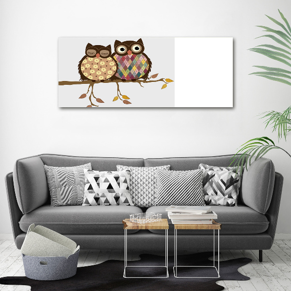 Schilderij glas Twee uilen op een tak