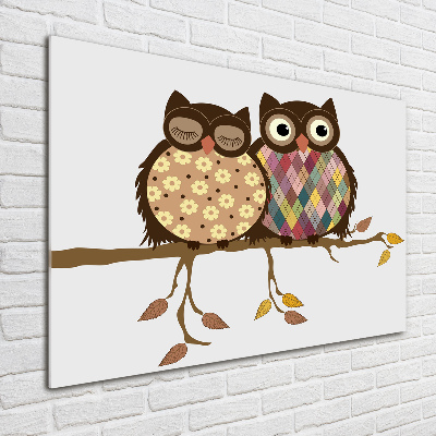 Schilderij glas Twee uilen op een tak