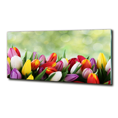 Schilderij op glas Kleurrijke tulpen