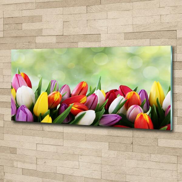Schilderij op glas Kleurrijke tulpen