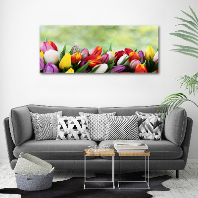 Schilderij op glas Kleurrijke tulpen