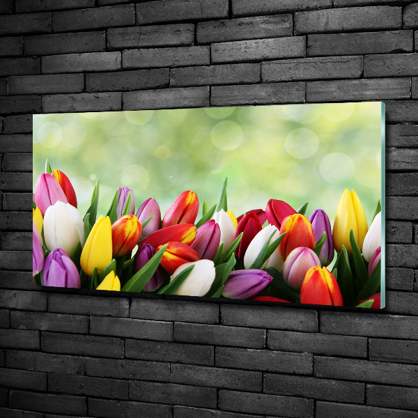 Schilderij op glas Kleurrijke tulpen