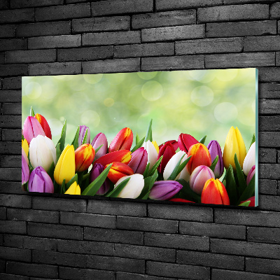 Schilderij op glas Kleurrijke tulpen