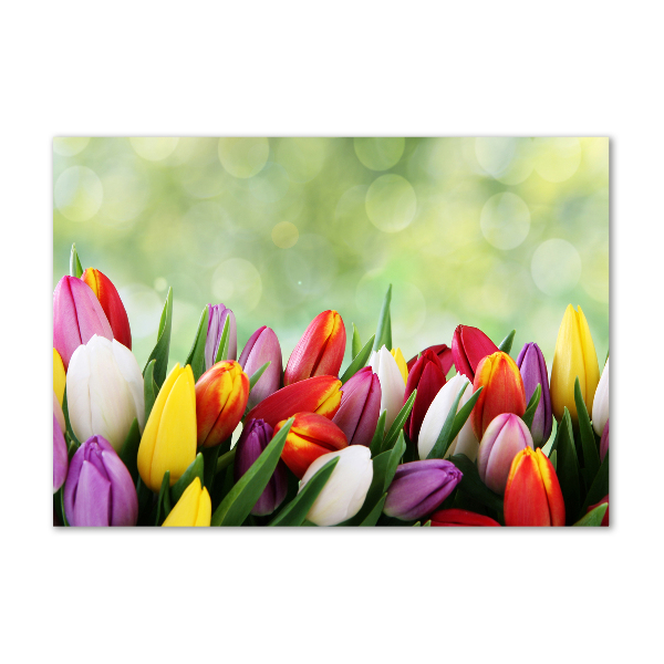 Schilderij op glas Kleurrijke tulpen