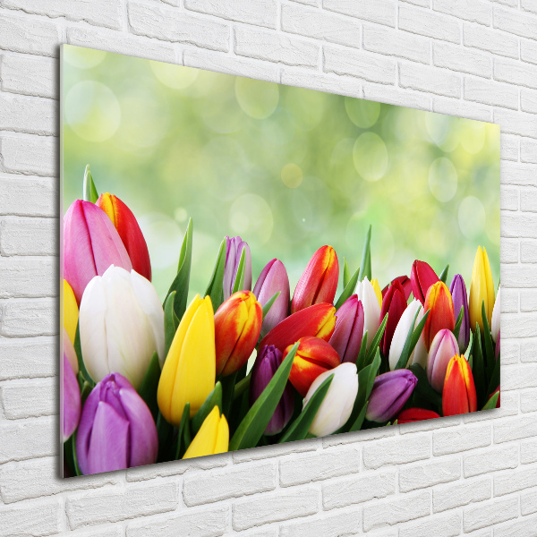 Schilderij op glas Kleurrijke tulpen