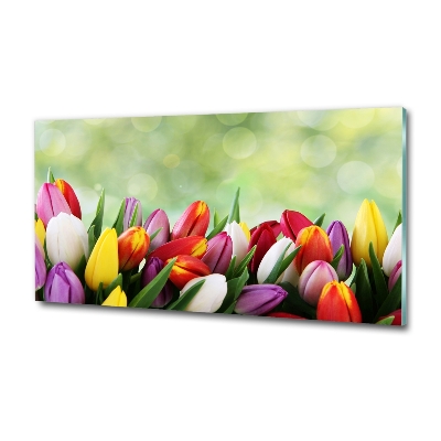 Schilderij op glas Kleurrijke tulpen