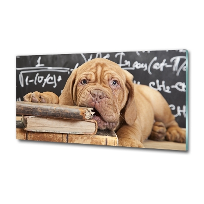 Foto schilderij op glas De hond bijt in het boek.