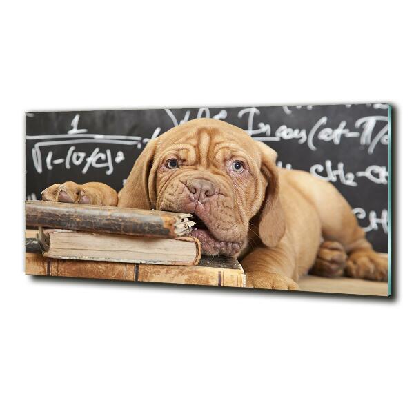 Foto schilderij op glas De hond bijt in het boek.