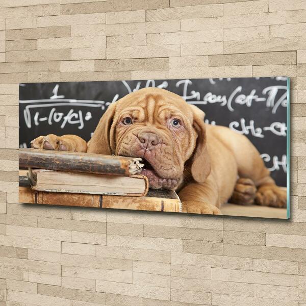 Foto schilderij op glas De hond bijt in het boek.