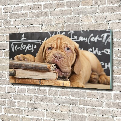 Foto schilderij op glas De hond bijt in het boek.