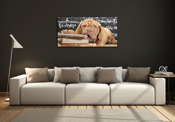 Foto schilderij op glas De hond bijt in het boek.