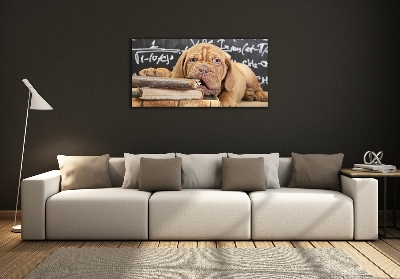 Foto schilderij op glas De hond bijt in het boek.