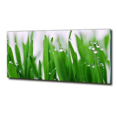 Schilderij glas grassprieten