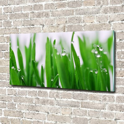 Schilderij glas grassprieten