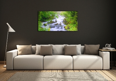 Schilderij op glas Bergrivier