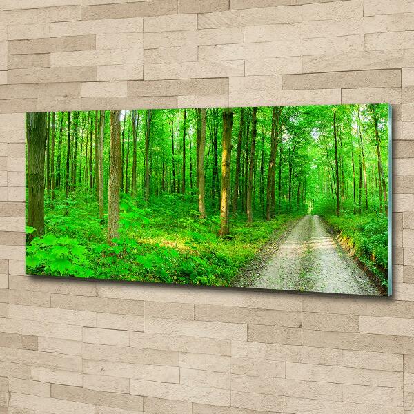 Glazen schilderij Bomen in het bos