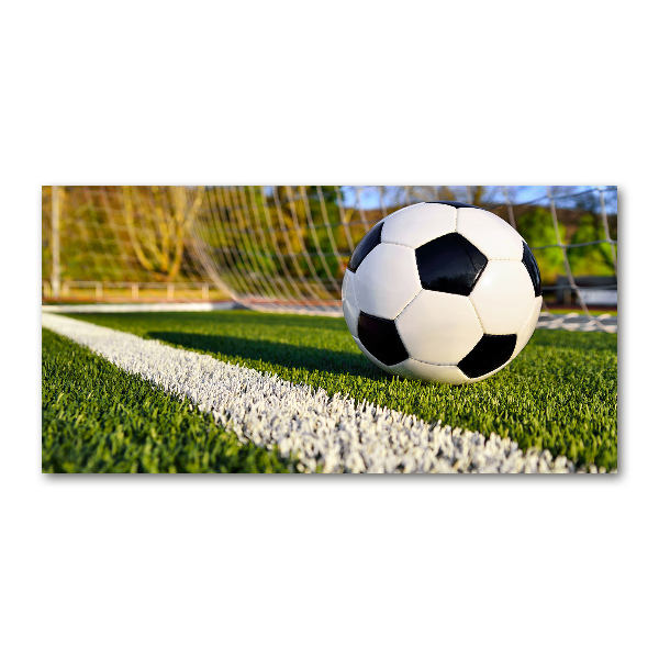 Foto schilderij op glas De bal ligt in het doel.