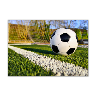 Foto schilderij op glas De bal ligt in het doel.