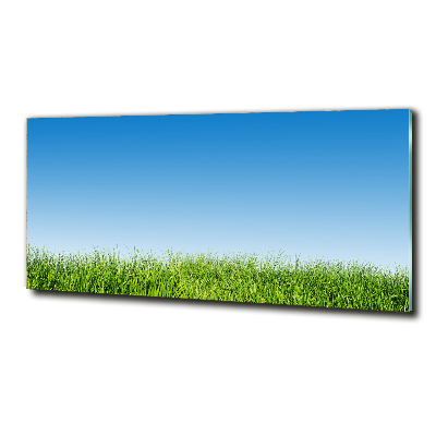Schilderij op glas Gras